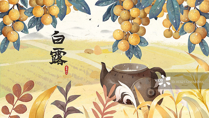白露节气插画图片素材
