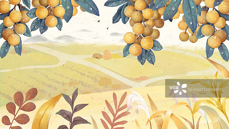 白露节气插画图片素材