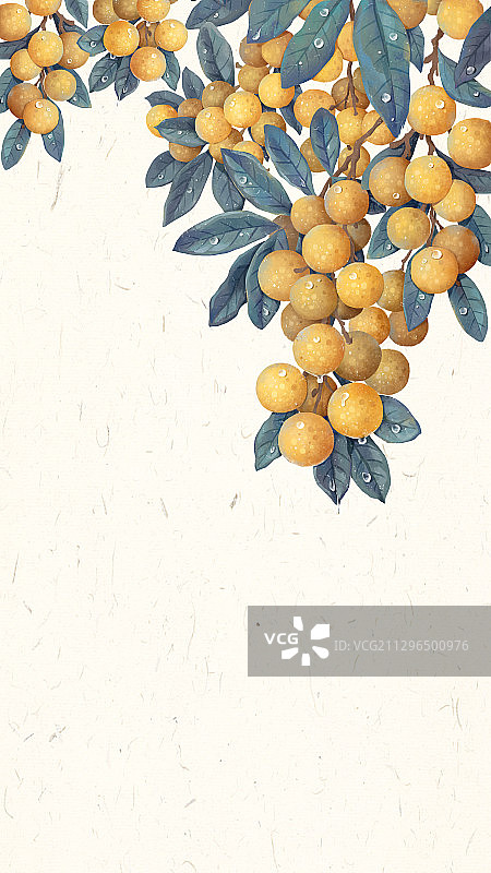 白露节气插画图片素材