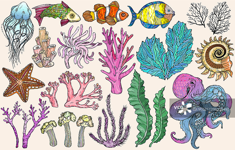 深海生物鱼类素描图片素材