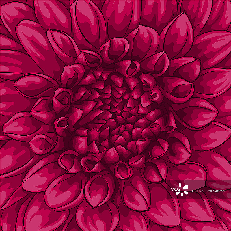 美丽的大丽花花束图片素材