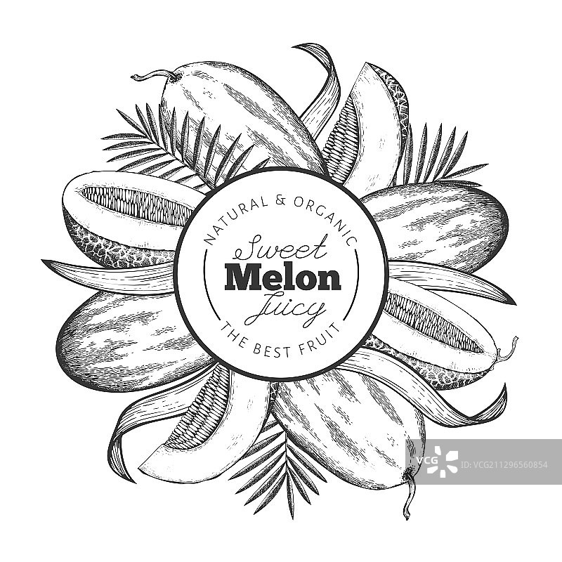 哈密瓜设计模板图片素材