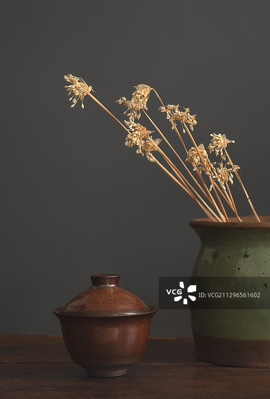 建盏干花插画静物图片素材