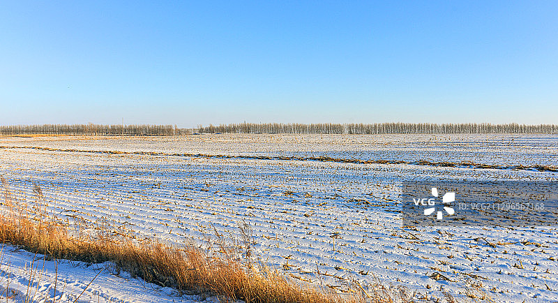 吉林扶余市冬季的田野图片素材