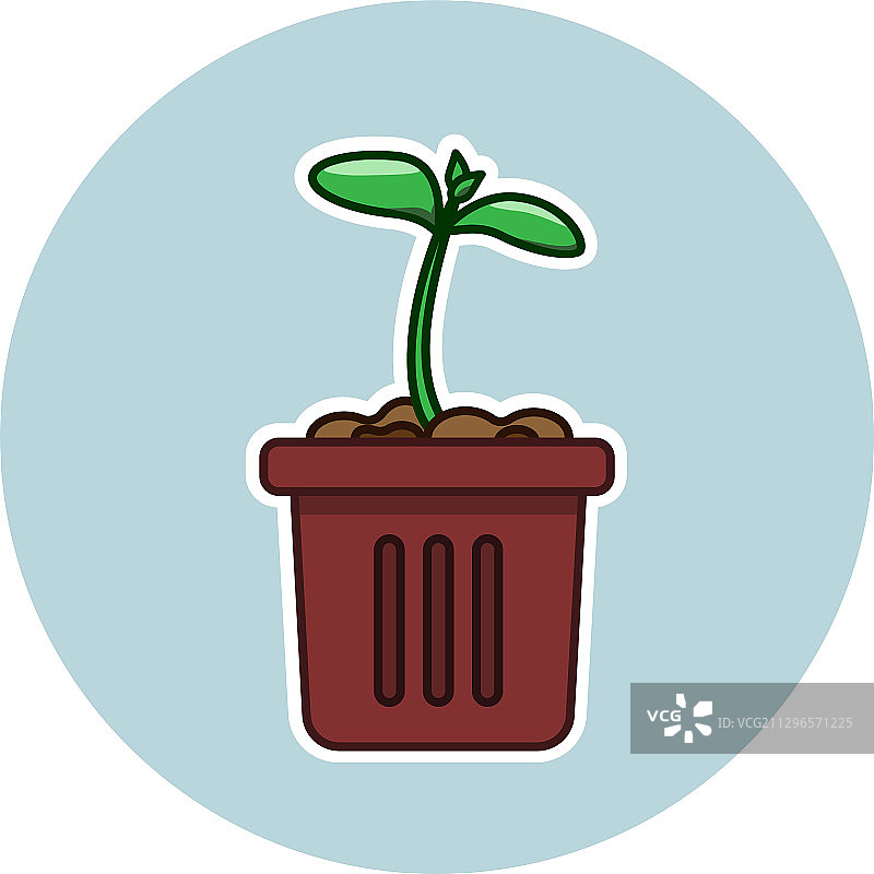 花盆里的嫩芽图片素材