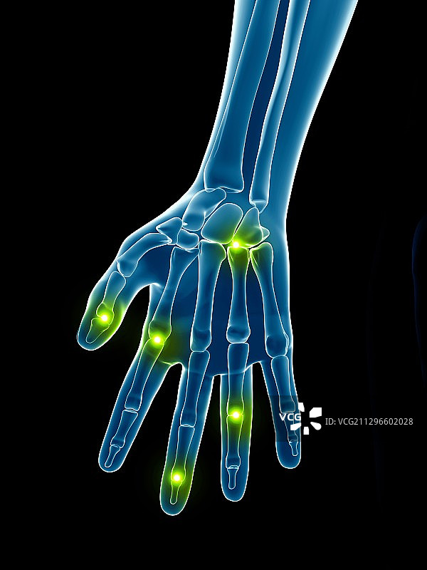 人类手指关节插画图片素材