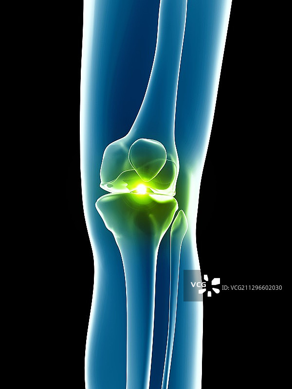 人类膝关节插图图片素材