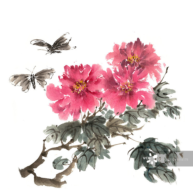 牡丹花与蝴蝶图片素材