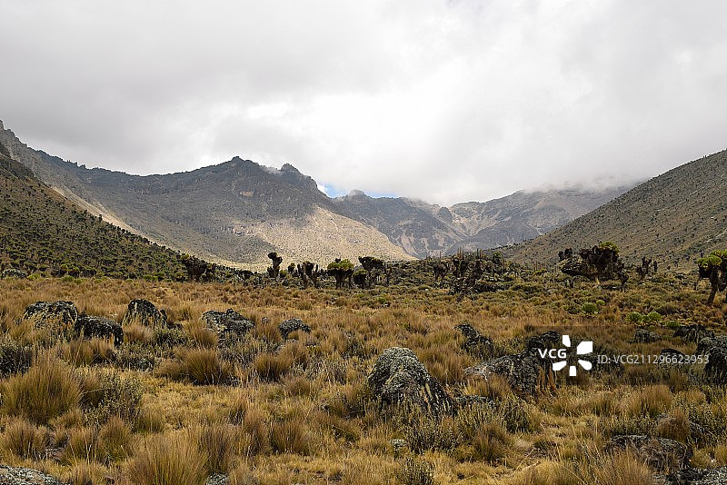肯尼亚楠尤基的白天丘陵图片素材