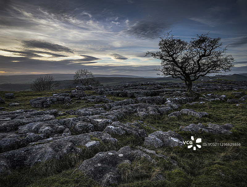 英国柯克比斯蒂芬，戏剧性天空下岩石草甸中的光秃秃的树木图片素材