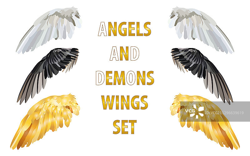 一组三对白色不同翅膀图片素材