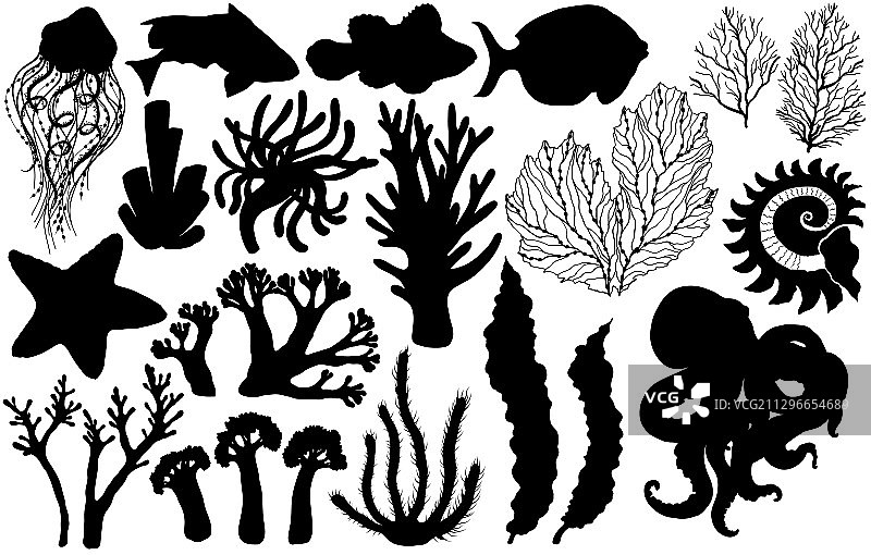 深海生物鱼类剪影图片素材