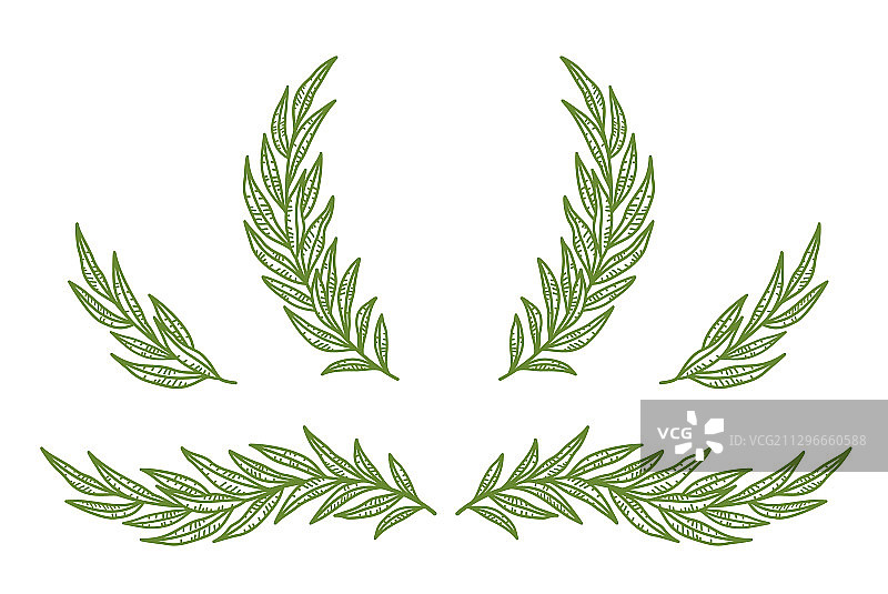 复古橄榄枝和花环套装图片素材