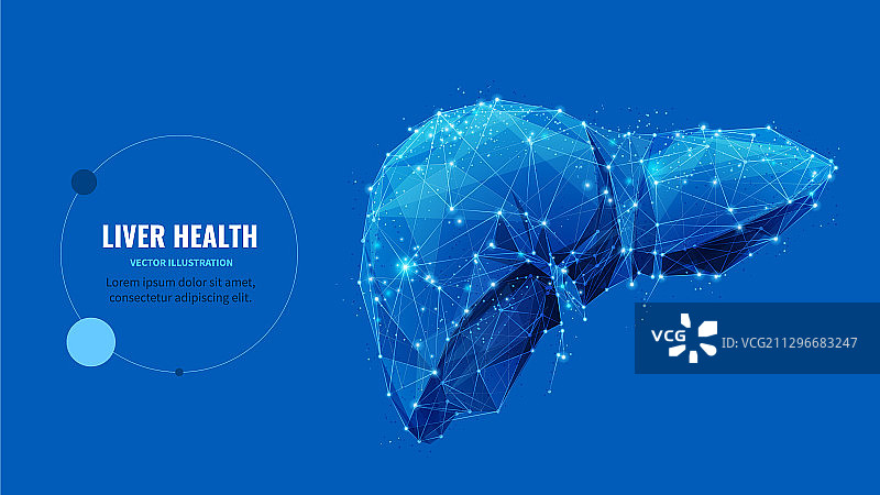 肝脏健康低多边形banner模板图片素材