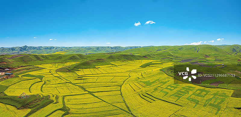 航拍甘南合作油菜花风光图片素材