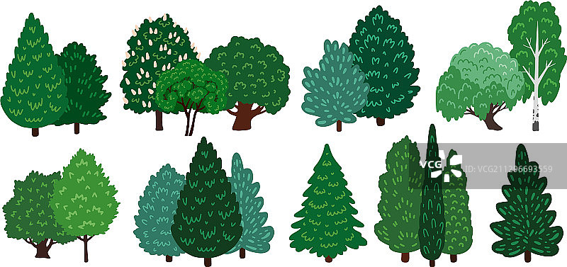 针叶树和落叶树元素组合图片素材