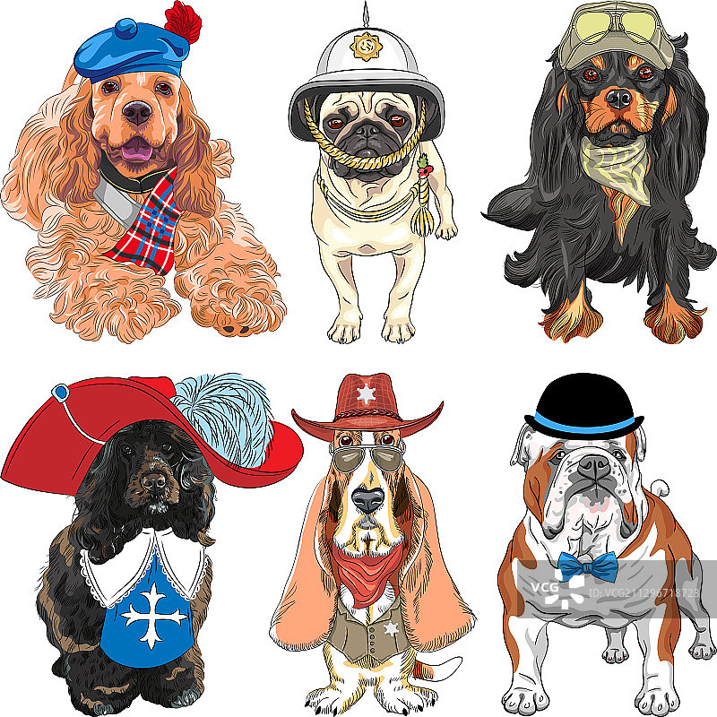 穿着衣服的时尚小狗套装图片素材