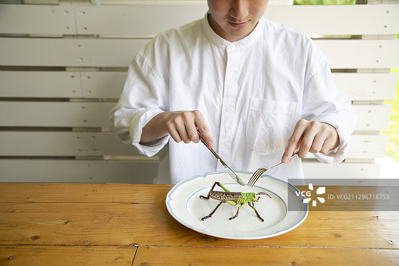 食用昆虫盛宴图片素材