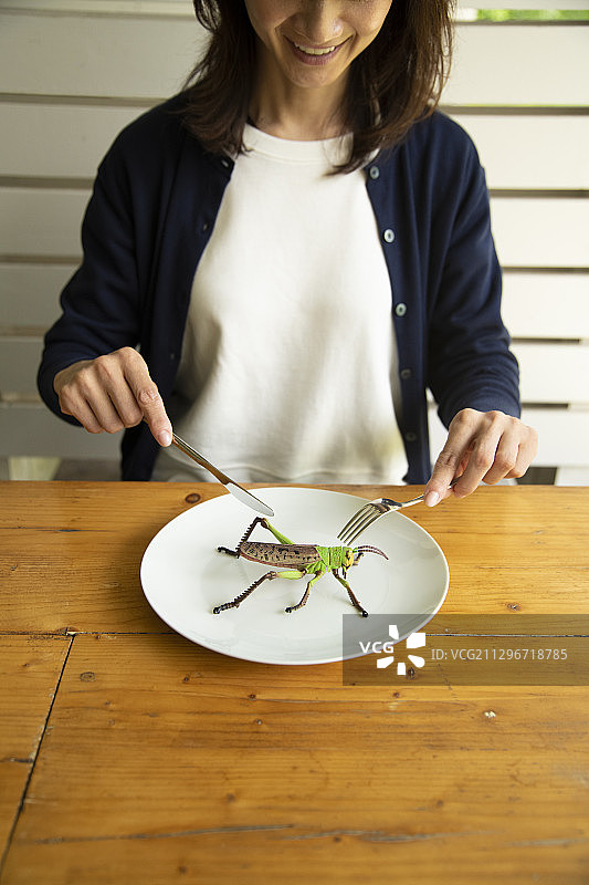 食用昆虫盛宴图片素材