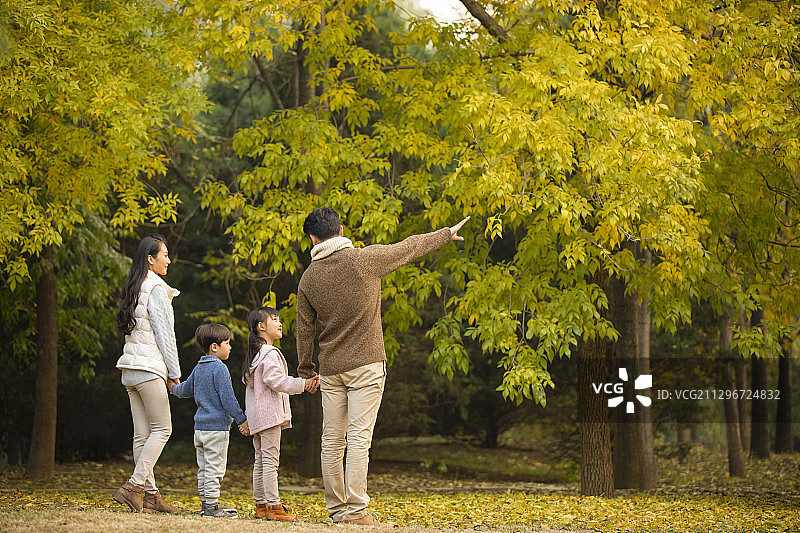 快乐的年轻家庭在树林里共享美好时光图片素材