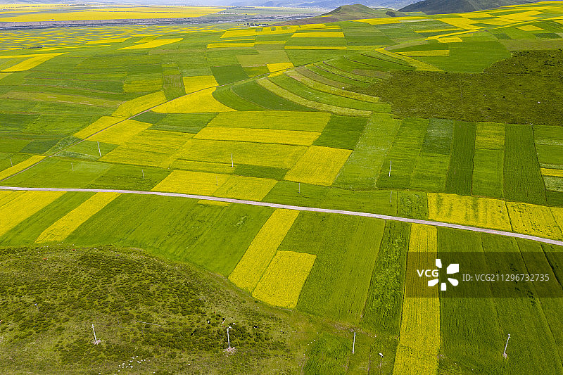 青海省海北藏族自治州门源回族自治县青石嘴图片素材