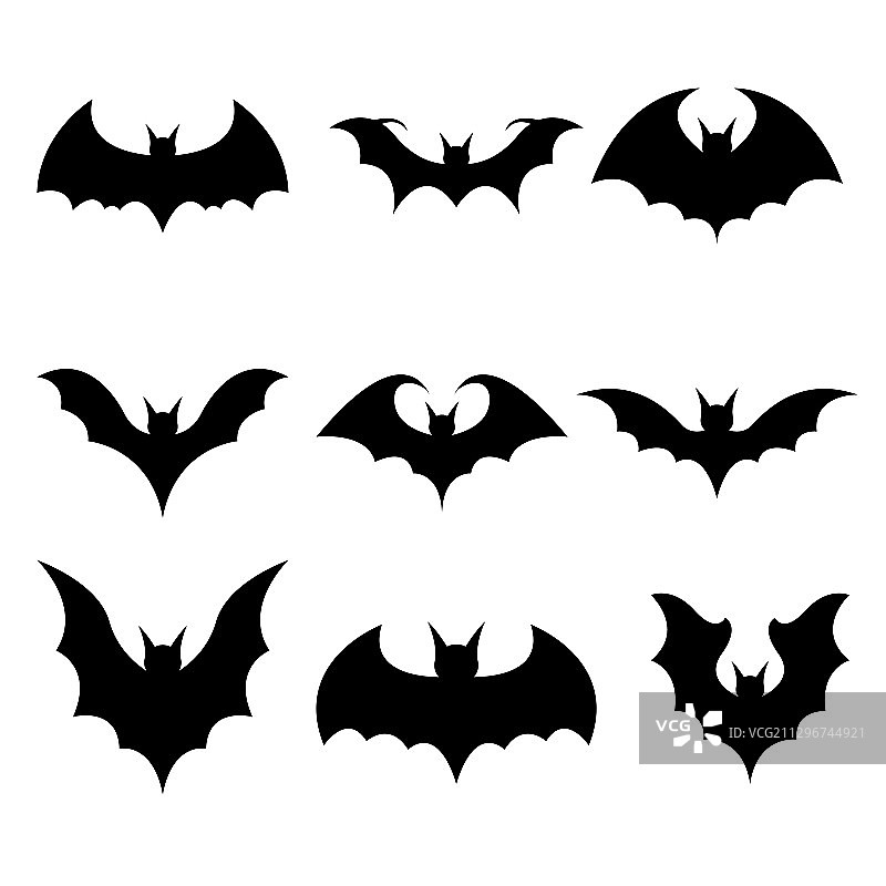 蝙蝠合集图片素材