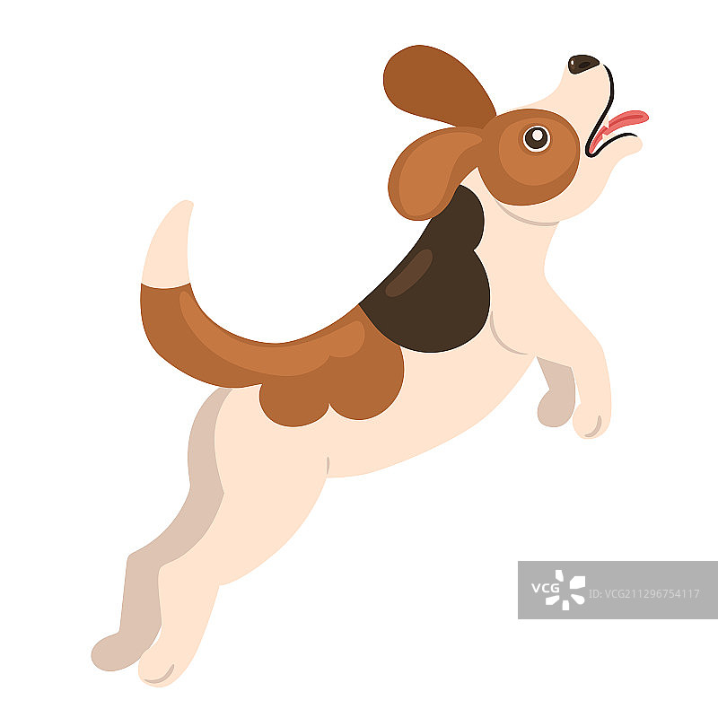跳跃的小猎犬幼犬，白色背景隔离图片素材