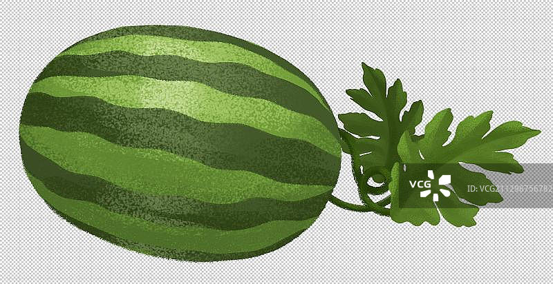 一个条纹西瓜图片素材