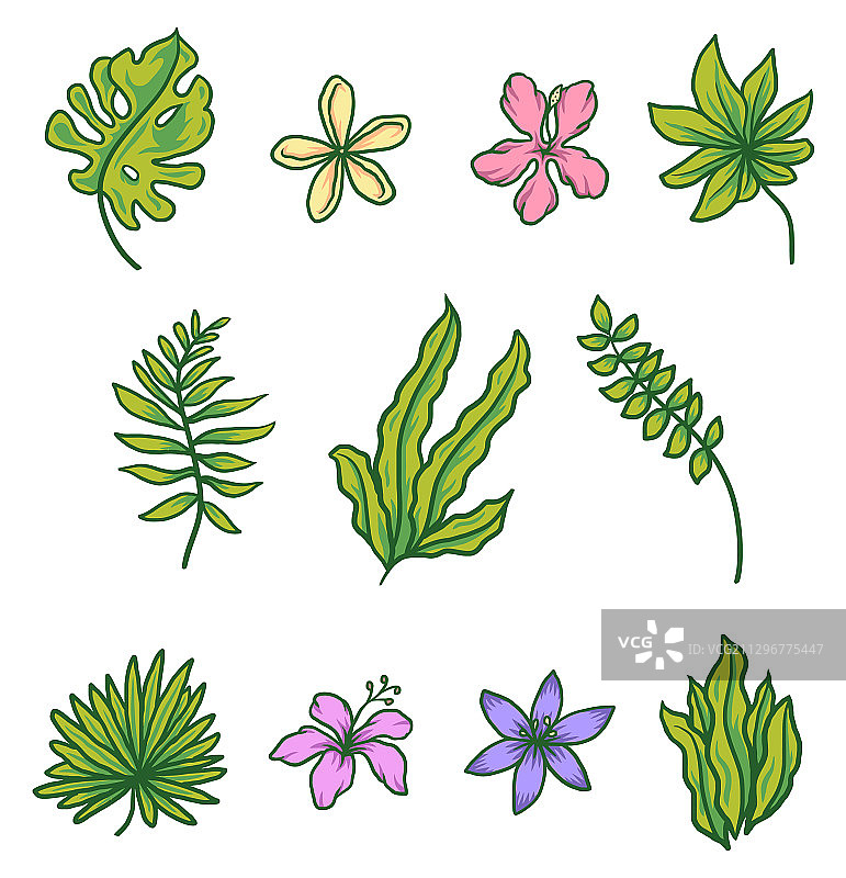 鲜花和棕榈叶热带组合图片素材