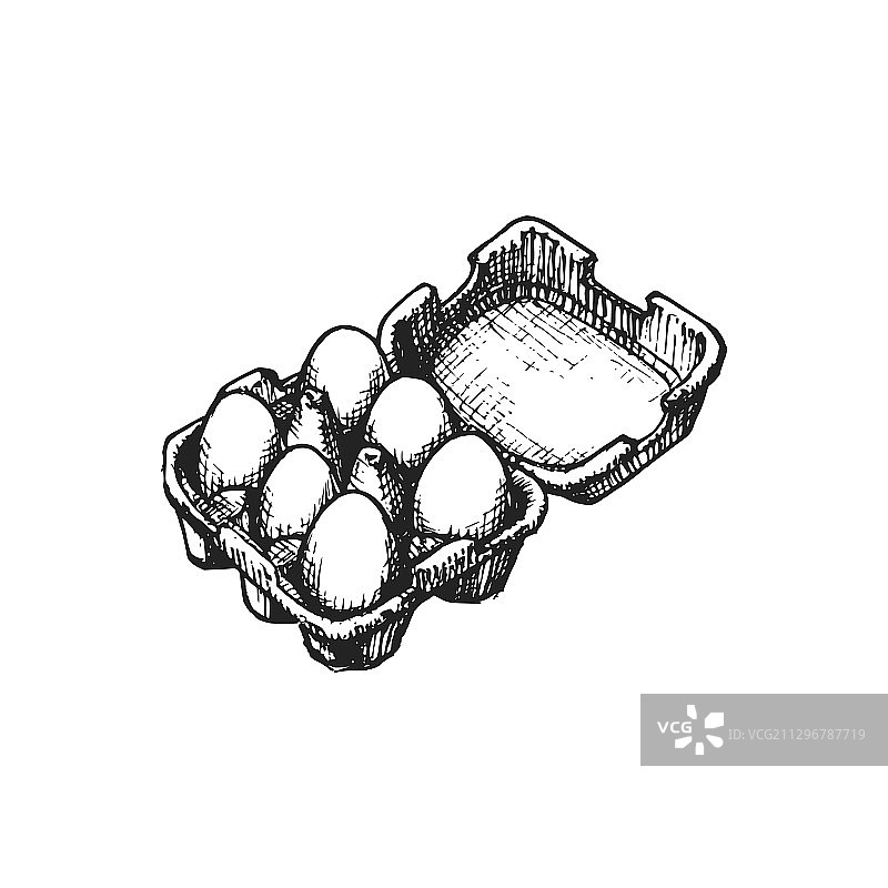 手绘风格鸡蛋包装盒图片素材