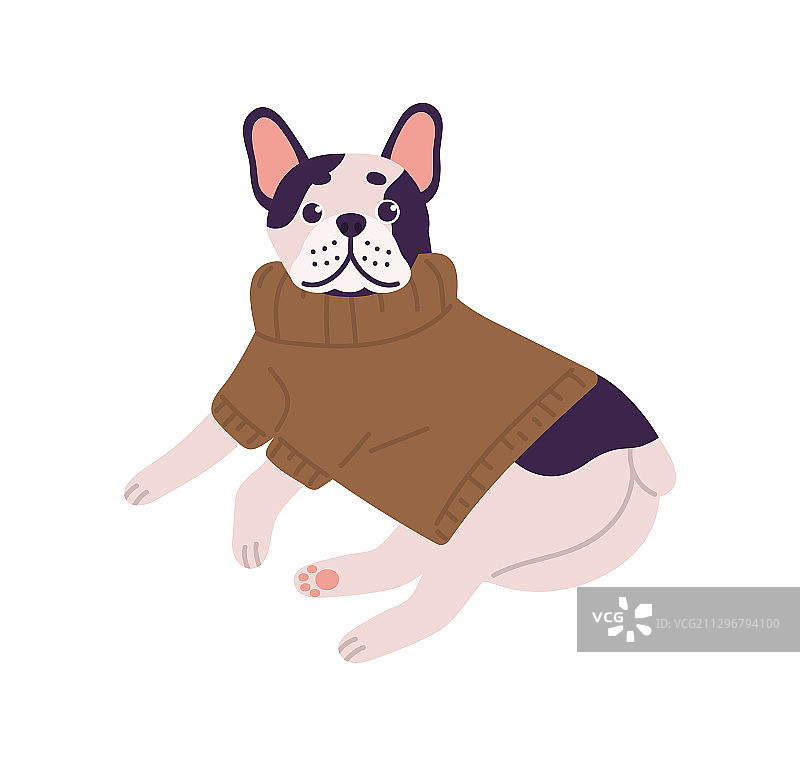 友善可爱的法国斗牛犬图片素材