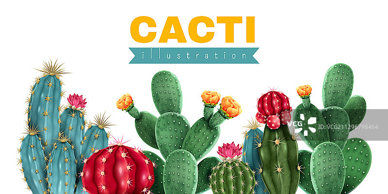 彩色背景仙人掌图片素材