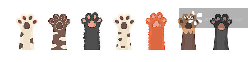 动物爪子向上图片素材
