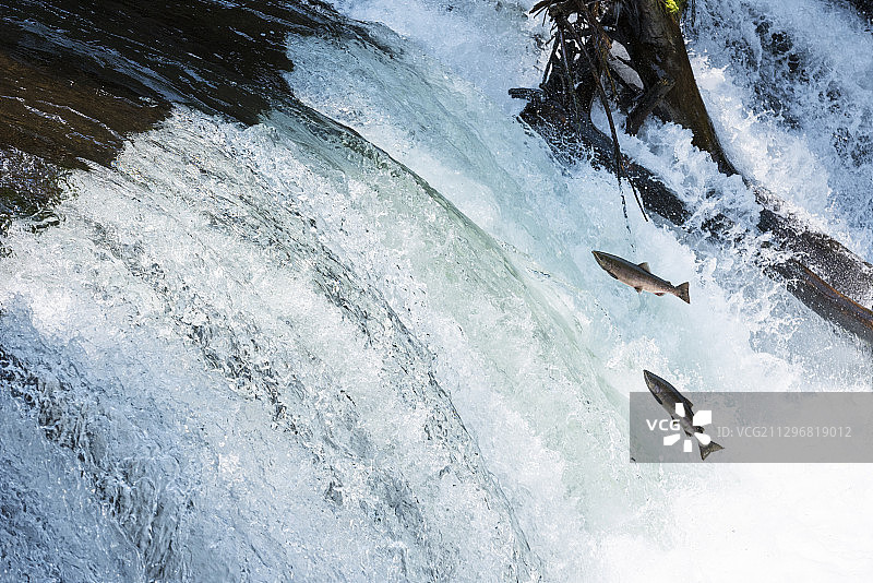 日本北海道图片素材