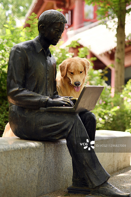 雕像旁的金毛犬图片素材