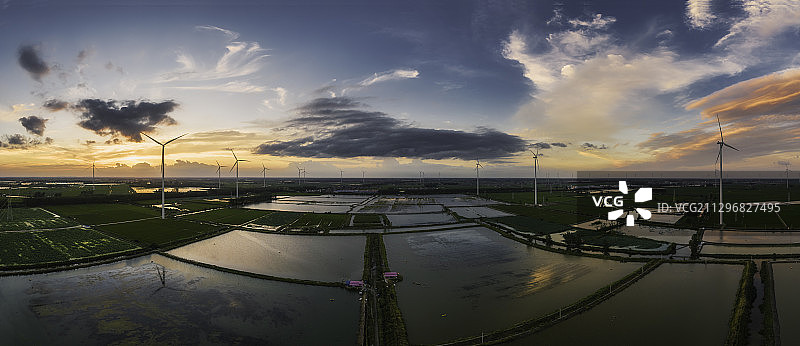 宝应荷花图片素材