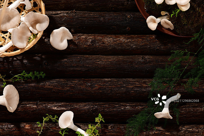 秀珍菇图片素材