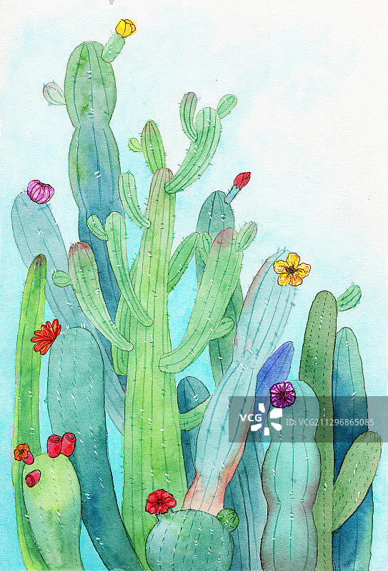 手绘水彩仙人掌元素素材绘画插画图片素材
