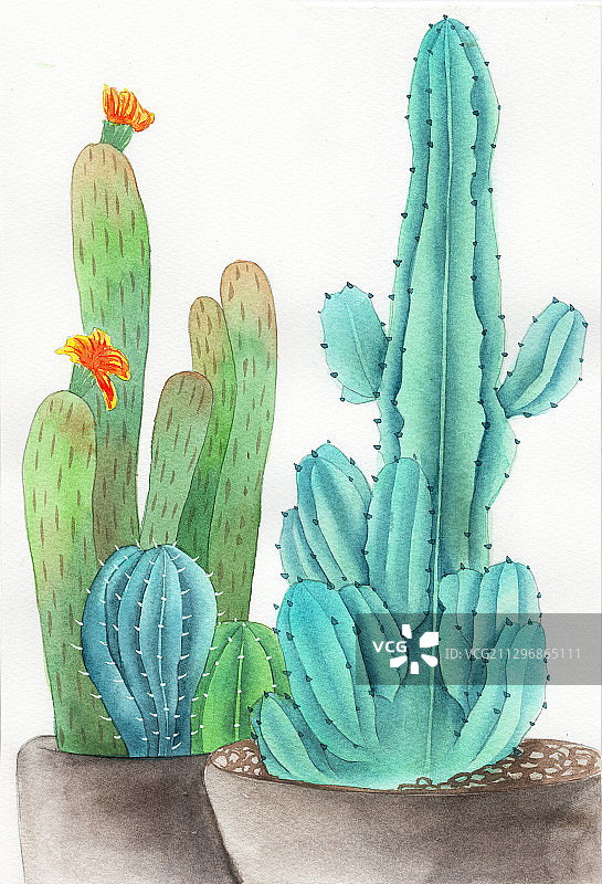 手绘水彩仙人掌元素素材绘画插画图片素材