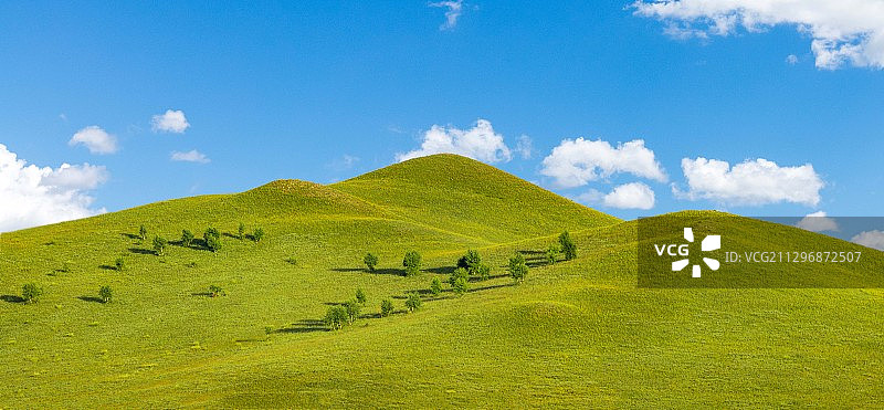 乌兰布统草原图片素材