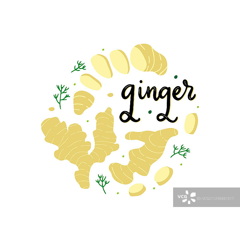 新鲜成熟生姜扁平构图图片素材