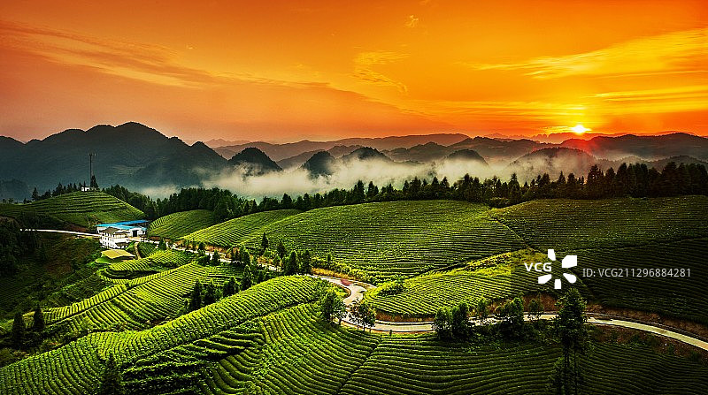 茶园小康路图片素材