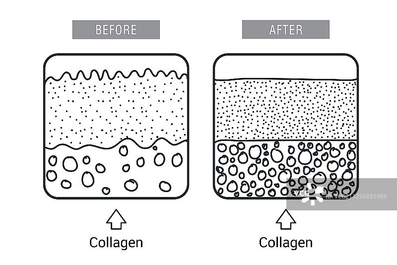 胶原蛋白保护肌肤图片素材