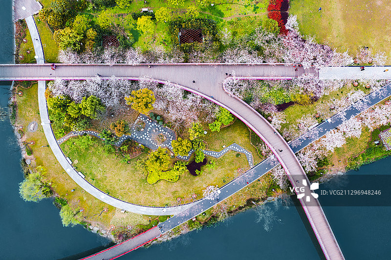 宁波市樱花公园彩虹桥图片素材