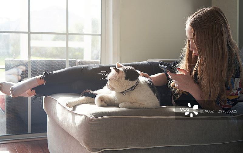 宅在家，青少年女孩在沙发上使用智能手机， рядом с кошкой图片素材