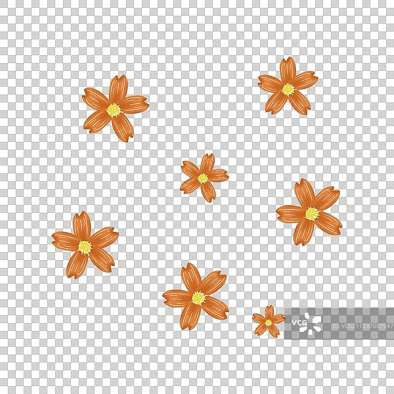 橙色的小花图片素材