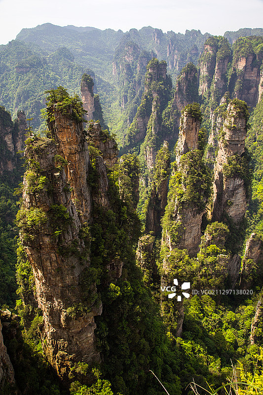 中国湖南张家界图片素材