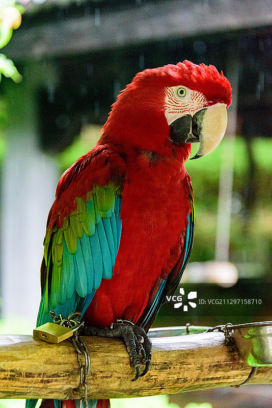 猴岛 杭州图片素材