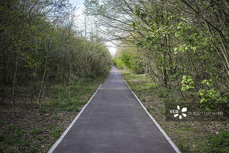 环境修复：曾经的工业铁路线上的林地走道和自行车道图片素材