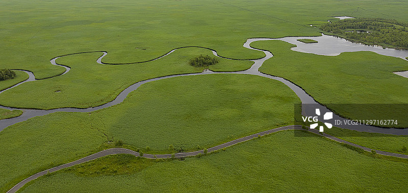 中国  齐齐哈尔   扎龙湿地图片素材